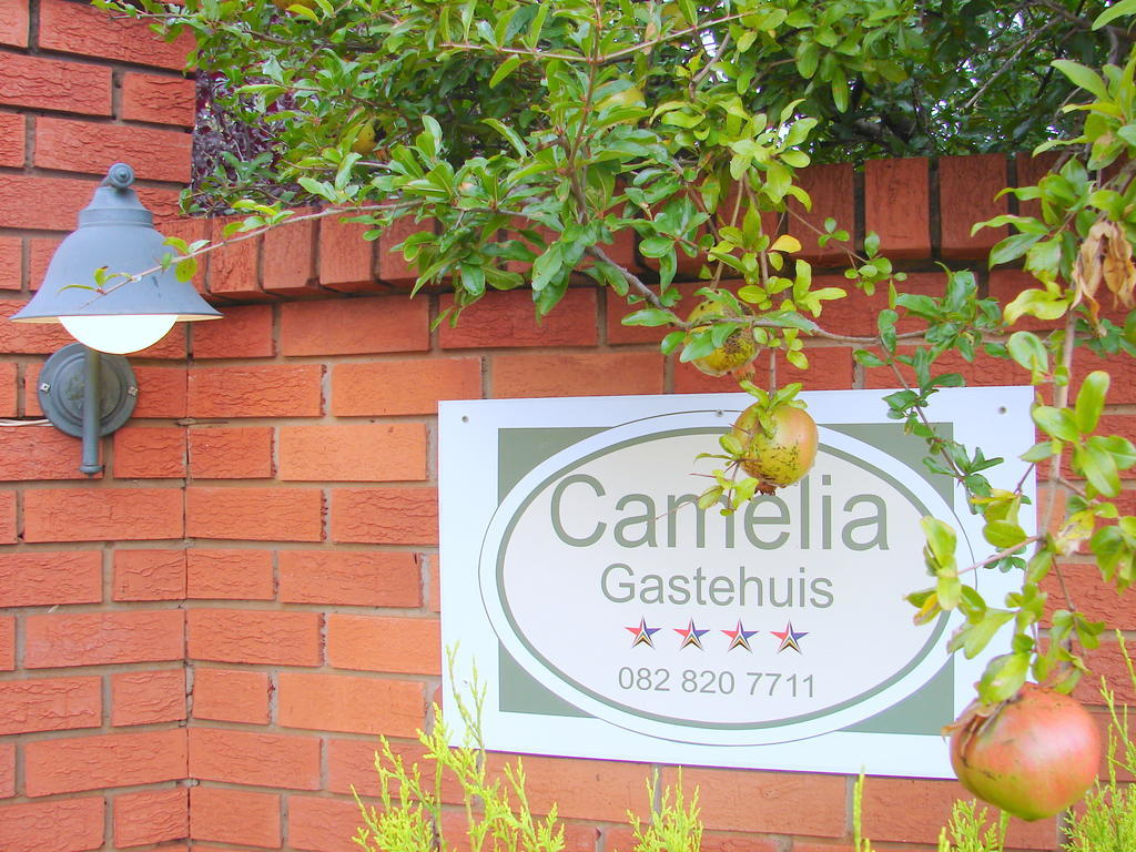 Camelia Guest House Bloemfontein Bagian luar foto